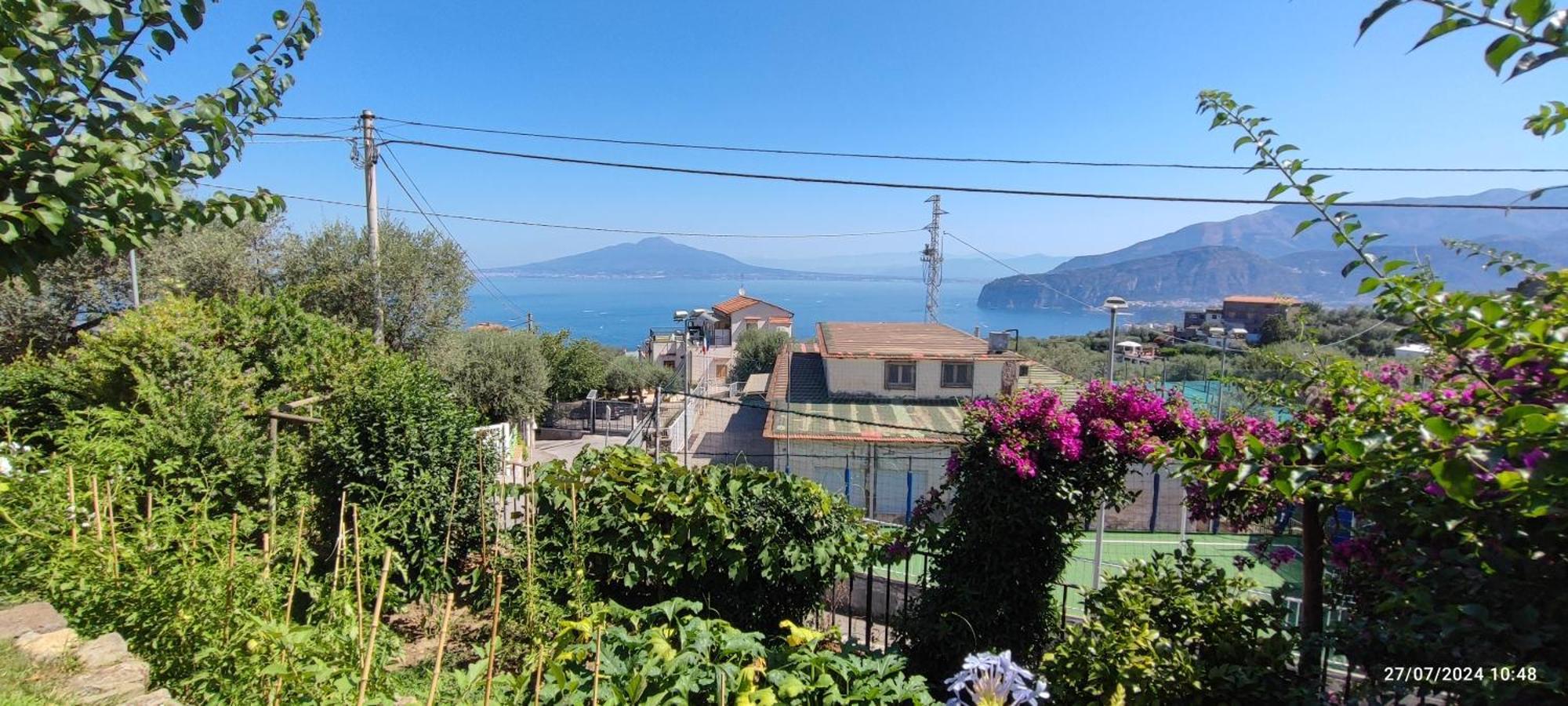 Lally'S Garden Bed & Breakfast Sorrento Exterior foto
