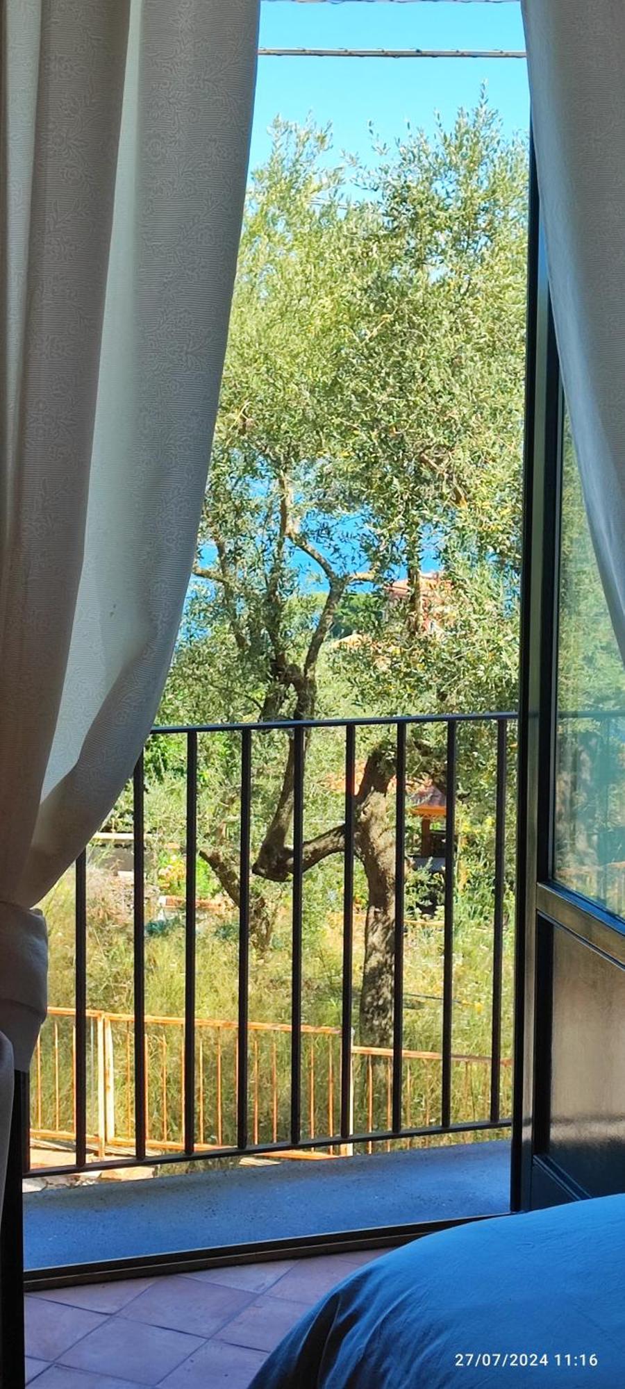 Lally'S Garden Bed & Breakfast Sorrento Exterior foto